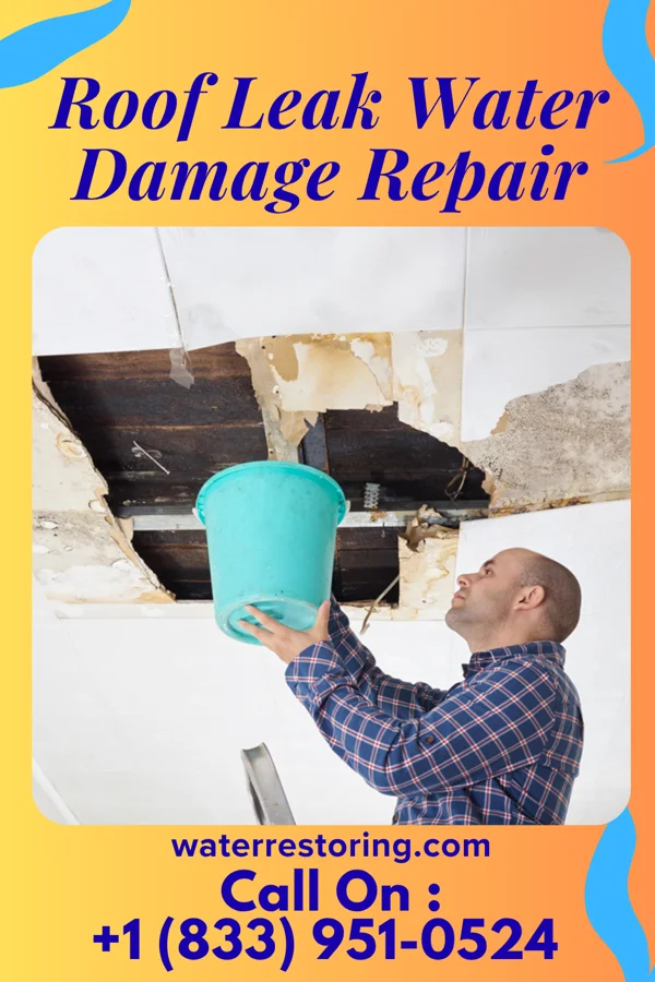 Roof Leak Water Damage Repair in Mount Hope, WI
